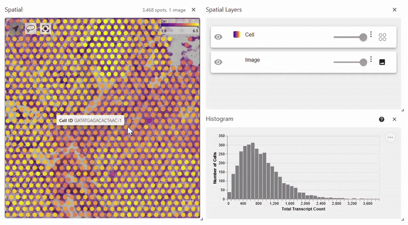 sc_spatial_documentation